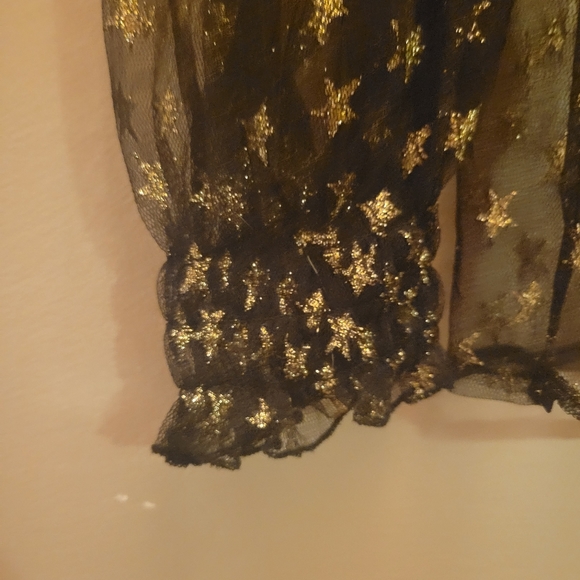 Sheer pullover top. Lane Bryant size 18/20 - Picture 3 of 4